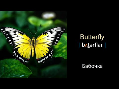 Видео: Учите Английские слова легко и просто - Урок 12.