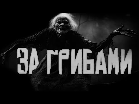 Видео: За грибами... Страшные истории на ночь.Страшилки на ночь. 2K 60fps