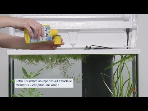 Видео: Tetra AquaSafe – делает водопроводную воду пригодной для рыб