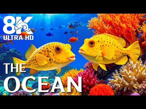 Видео: Ocean Blue 8K (ВИДЕО UHD) 🐠 Красивые морские существа и умиротворяющие звуки для снятия стресса