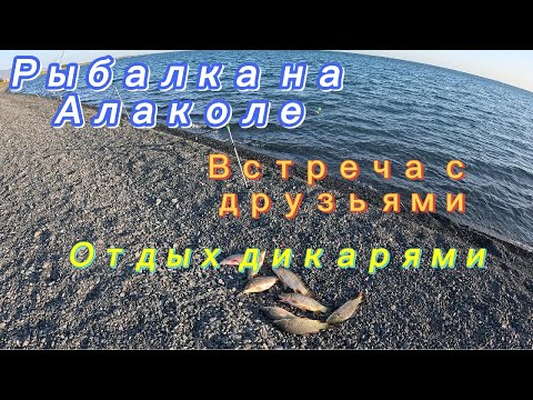 Видео: Рыбалка на  Алаколе, отдых дикарями со всеми удобствами, встреча с друзьями.