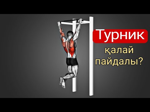 Видео: Турникке тартылғанның пайдасы #пайдалыақпарат #пайдалыкеңес #турник #турникте тартылу#