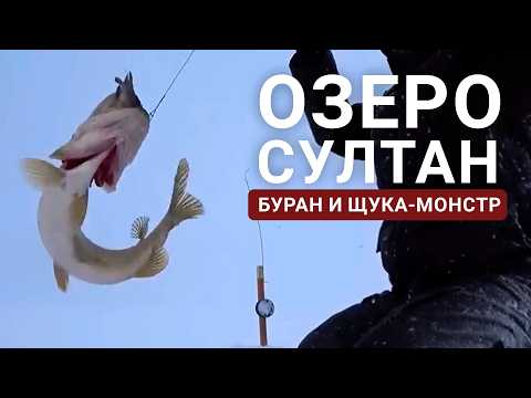 Видео: ОЗЕРО СУЛТАН: буран, щука и трофеи!