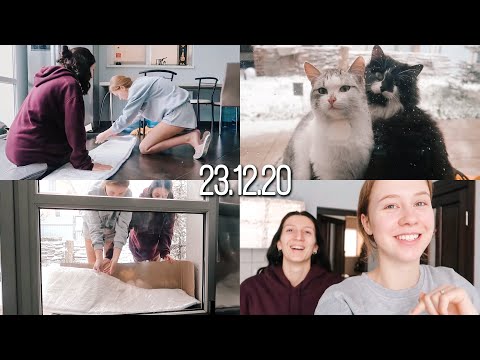 Видео: ДЕЛАЕМ ТЁПЛОЕ МЕСТО ДЛЯ БЕЗДОМНЫХ КОТИКОВ 🐱 ВЫПАЛ СИЛЬНЫЙ СНЕГ || СНИМАЕМ КОНТЕНТ В ТИК ТОК