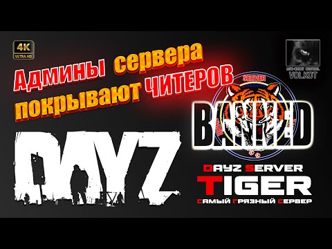 Видео: Админы сервера TIGER покрывают ЧИТЕРОВ | TIGER больше НЕТ #dayz