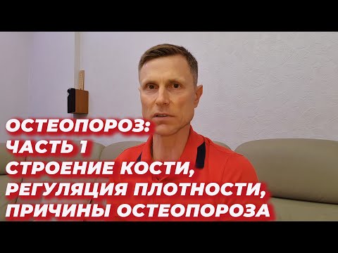 Видео: Остеопороз.Часть 1:Строение кости, регуляция плотности, причины остеопороза
