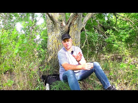 Видео: На этом наверное и всё!