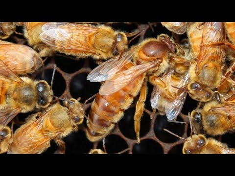 Видео: Подводим итоги сезона.