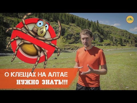 Видео: О клещах на Алтае. Нужно знать!!!