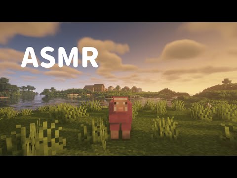 Видео: асмр по майнкрафту (1 часть)