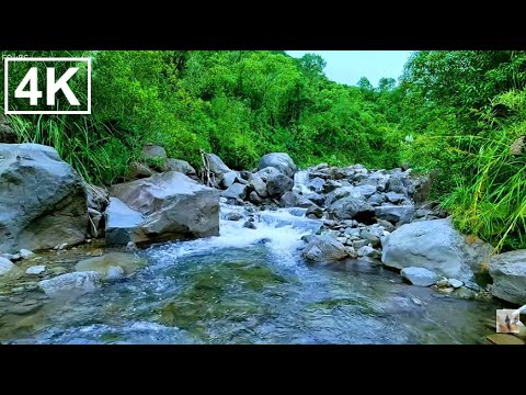 Видео: Спокойная горная река с пением птиц — идеальное место для релаксации и душевного спокойствия