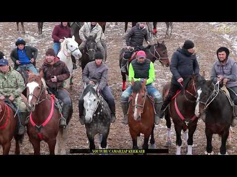 Видео: Бузкаши Зафаробод 17.02.2024/ Полный версия Самандар Кенжаев