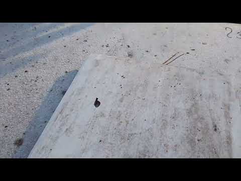 Видео: 14.10.2025. Осип кліща на четверту сутку