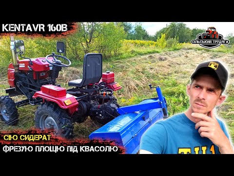 Видео: Готую нову площю під квасолю. Мототрактор Кентавр 160в в роботі з фрезою. Сію сидерати.