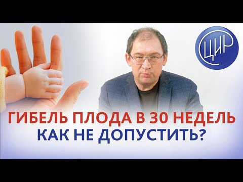 Видео: Плацентарная недостаточность и гибель плода на 30 неделе беременности. Как предотвратить повторение?