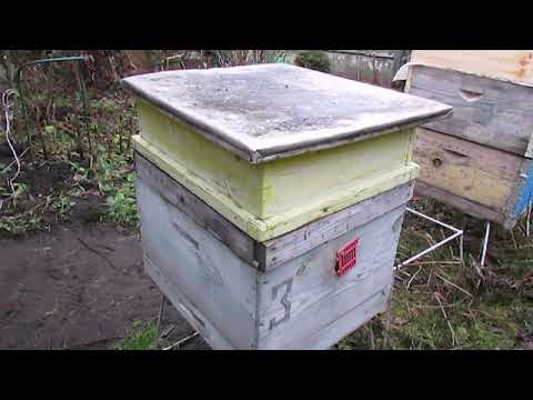 Видео: зима на пасеке - вентиляция у зимующих пчел в начале зимовки , как лучше для экономии зимнего корма