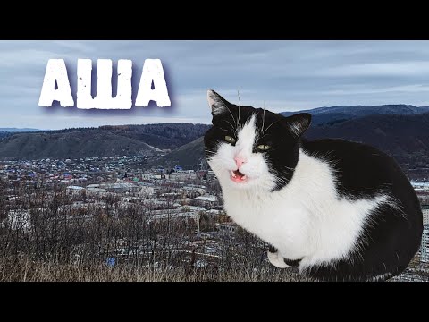 Видео: Аша. Южный Урал. Пример хорошего города с небольшим населением