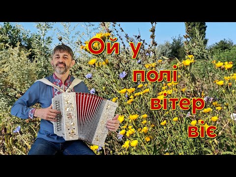 Видео: Ой у полі вітер віє