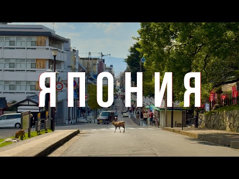 Видео: Япония - Осака, Киото, Хаконе, Токио, успеть все за 10 дней