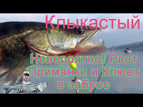 Видео: Клыкастый Невероятно!Рвал приманки и клевал в заброс !