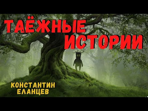 Видео: ТАЁЖНЫЕ ИСТОРИИ | Страшные истории