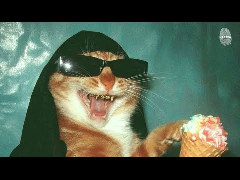 Видео: [Playlist] Trap & Hip-Hop Flow, который заводит всех 🎤