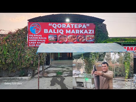 Видео: АСАКА КОРАТЕПА БАЛИК МАРКАЗИ ОЧИЛДИ КЕЛОРАСИЗ ЖУДА ЗУР