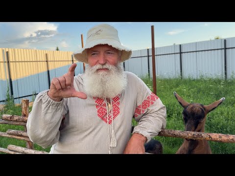 Видео: Зачем держать козу? Рассказываю, что даёт и как ухаживать