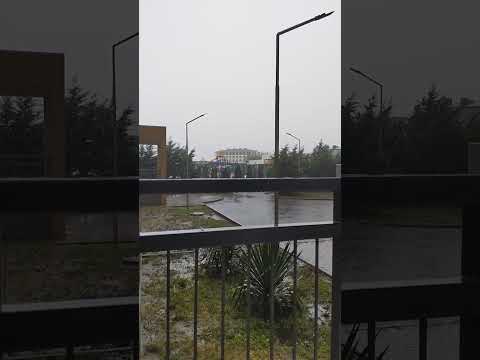 Видео: 🟡 ТРОПИЧЕСКИЙ ЛИВЕНЬ ☔🟡
