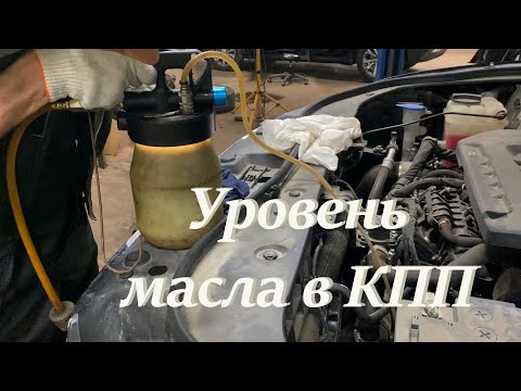 Видео: ХАВАЛ F7 2022 УРОВЕНЬ МАСЛА В РОБОТЕ (июль 2023г)