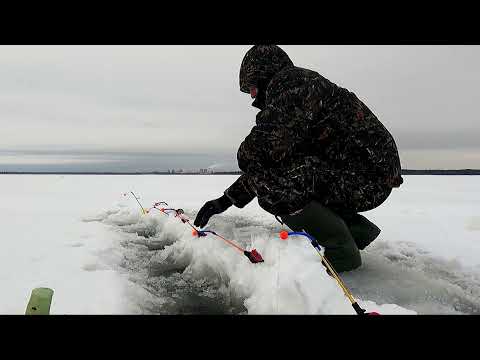 Видео: Ловим корюшку на Финском заливе январь 2022