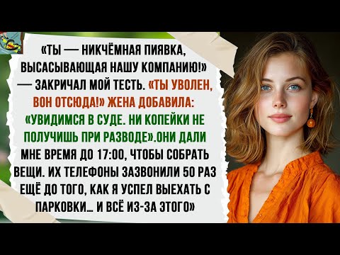 Видео: Тесть уволил меня: “Ты — никчёмная пиявка!”— и вдруг 50 звонков, ещё до того как я выехал с парковки