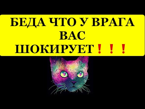 Видео: 🔥БЕДА ЧТО У ВРАГА ВАС ШОКИРУЕТ❗️❗️❗️🔥