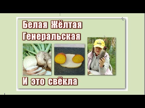 Видео: 292_Белая. Жёлтая. Генеральская. И это всё свёкла.