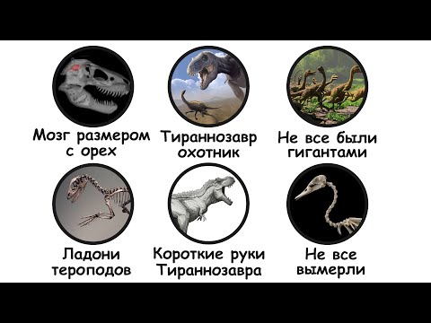Видео: Все мифы про динозавров