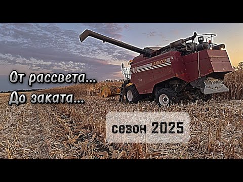 Видео: 3 день уборки кукурузы на Палессе, ночные кадры с уборочной! 