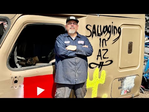 Видео: Давай устроим уличную драку, приятель!