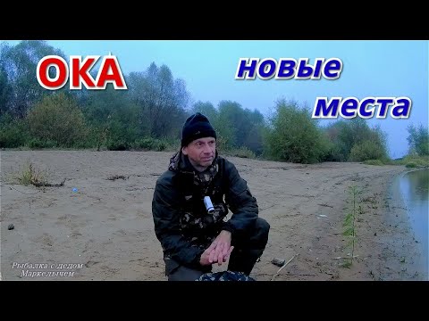 Видео: Где же НАЛИМ? Рыбалка на спиннинг и донки на ОКЕ. Октябрь 2021.