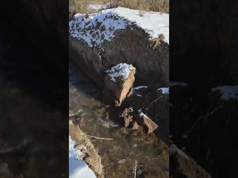 Видео: Пруд для разведения форели бюджетный вариант