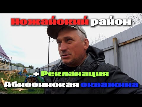 Видео: Абиссинка и рекламация!