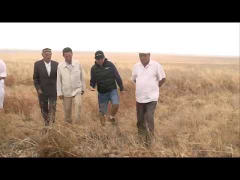 Видео: телеэкспедиция "Атажұрт", Ақтөбе облысы, Әйтеке би