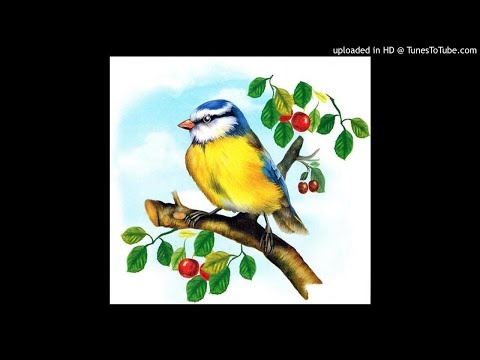 Видео: "Синичкин календарь",  Виталий Бианки . Сказка.