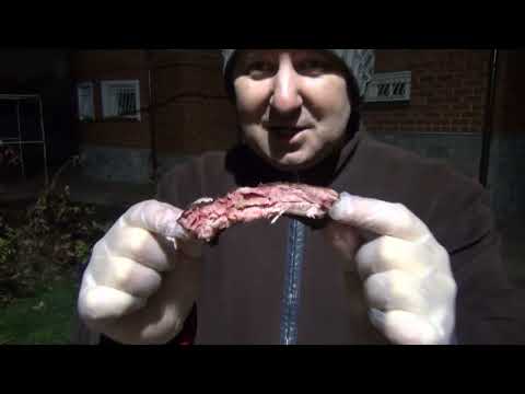 Видео: ДИЕТИЧЕСКИЕ ПИВНЫЕ РЕБРЫШКИ БАРБЕКЮ В СМОКЕРЕ OKLAHOMA JOE! ПОЧЕМУ Я ТАК РАНЬШЕ НЕ ГОТОВИЛ?!)