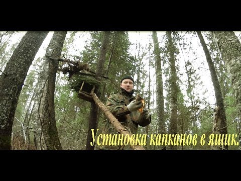 Видео: Установка проходных капканов в ящик. Installation of feed traps in the box.