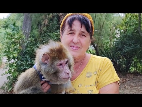 Видео: Гошуля в гостях у Бабушки