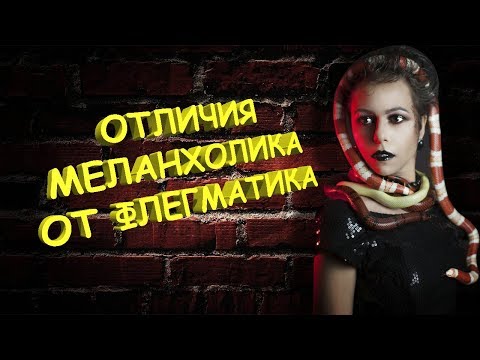 Видео: Меланхолик и флегматик. Отличия с примерами из фильмов 😦😐