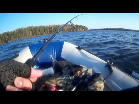 Видео: ПРОСТАЯ РЫБАЛКА. ОСЕНЬ ИДЁТ И РЫБКА КЛЮЁТ.