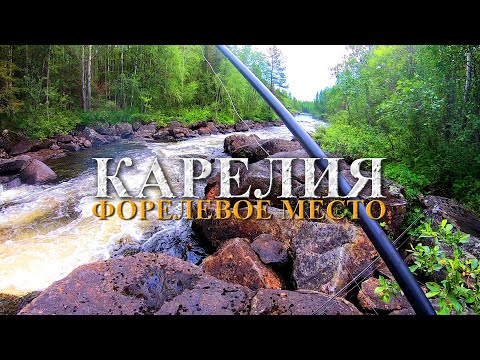 Видео: КАРЕЛИЯ 2023 нашли ФОРЕЛЕВОЕ МЕСТО || РЫБАЛКА на ГОРНОЙ РЕКЕ || КАРЕЛЬСКАЯ ФОРЕЛЬ на ЧЕРВЯ
