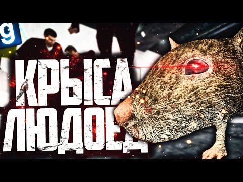 Видео: В SCP КОМПЛЕКСЕ ЗАВЕЛАСЬ КРЫСА-ЛЮДОЕД! УСТРОИЛ ХАОС В Д БЛОКЕ ЗА КРЫСУ в GARRY'S MOD SCP RP