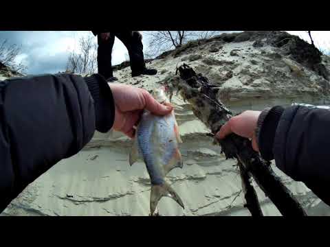 Видео: Плотва прошла? Рыбалка на Десне в Пуховке